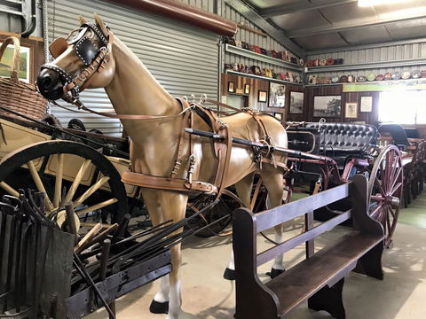 Yamba Tours And Charters - New Castle Holiday 9