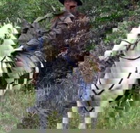 AAA Horse Riding  More - New Castle Holiday