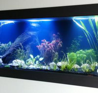Aquariums in Cairns - New Castle Holiday