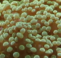 River to Reef Aquarium - New Castle Holiday