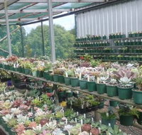 Summerland Aquarium - New Castle Holiday