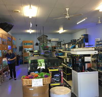 Aquamail - New Castle Holiday