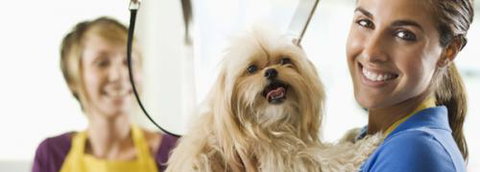 Port Stephens Pet Barn - New Castle Holiday 1