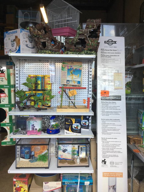 Port Stephens Pet Barn - New Castle Holiday 2