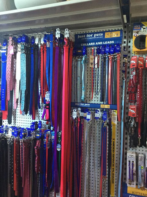 Port Stephens Pet Barn - New Castle Holiday 3