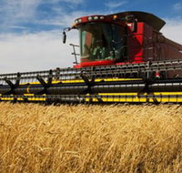 Quirindi Grain and produce - New Castle Holiday