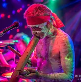 Didgeridoo Jam In The Park - New Castle Holiday 1