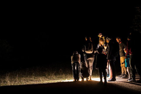 Twilight Tour - New Castle Holiday 1