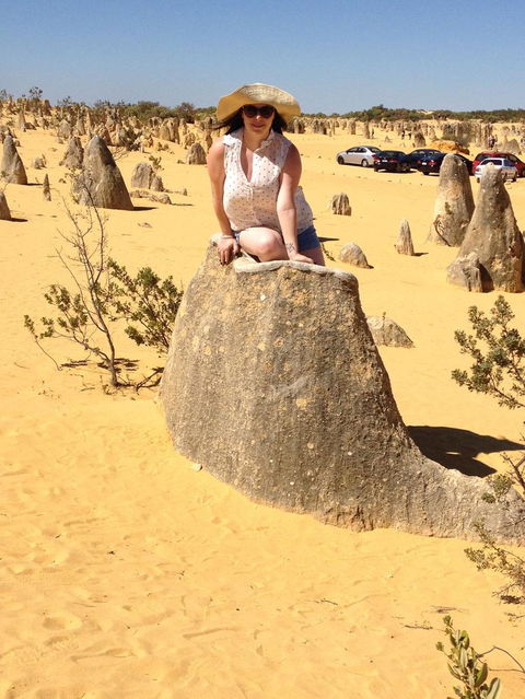 Pinnacles Desert, Koalas And Sandboarding 4WD Day Tour From Perth - New Castle Holiday 18