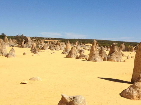 Pinnacles Desert, Koalas And Sandboarding 4WD Day Tour From Perth - New Castle Holiday 15