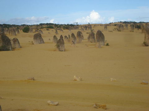 Pinnacles Desert, Koalas And Sandboarding 4WD Day Tour From Perth - New Castle Holiday 23