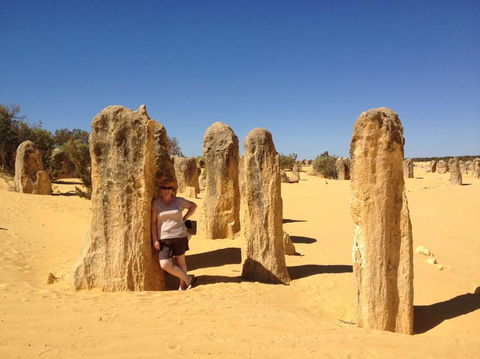 Pinnacles Desert, Koalas And Sandboarding 4WD Day Tour From Perth - New Castle Holiday 17