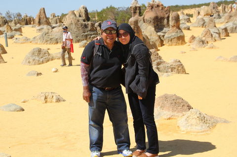 Pinnacles Desert, Koalas And Sandboarding 4WD Day Tour From Perth - New Castle Holiday 12