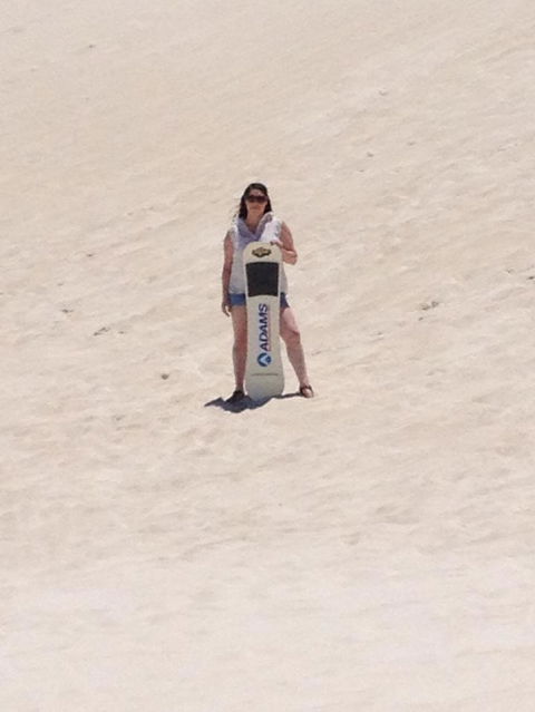 Pinnacles Desert, Koalas And Sandboarding 4WD Day Tour From Perth - New Castle Holiday 21
