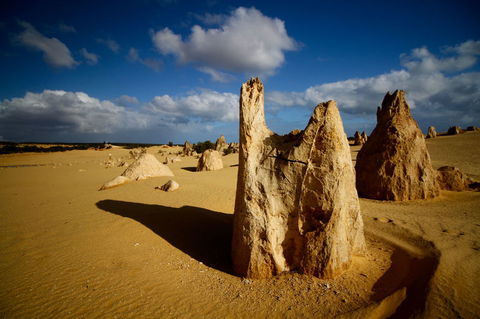 Pinnacles Desert, Koalas And Sandboarding 4WD Day Tour From Perth - New Castle Holiday 6