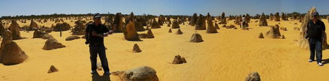 Pinnacles Desert, Koalas And Sandboarding 4WD Day Tour From Perth - New Castle Holiday 11