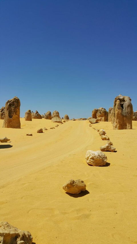 Pinnacles Desert, Koalas And Sandboarding 4WD Day Tour From Perth - New Castle Holiday 3