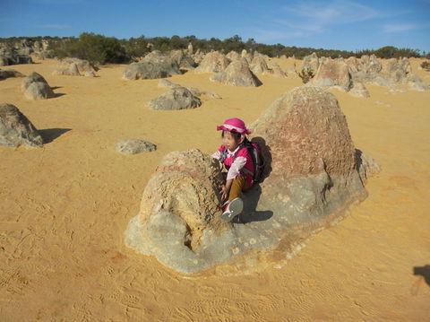 Pinnacles Desert, Koalas And Sandboarding 4WD Day Tour From Perth - New Castle Holiday 7