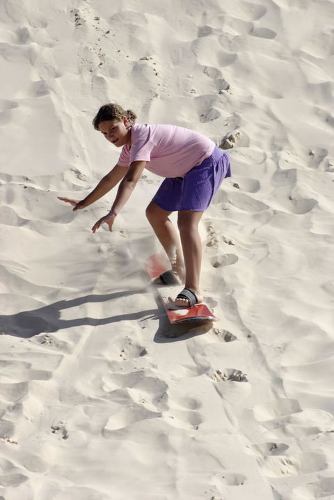 Pinnacles Desert, Koalas And Sandboarding 4WD Day Tour From Perth - New Castle Holiday 24