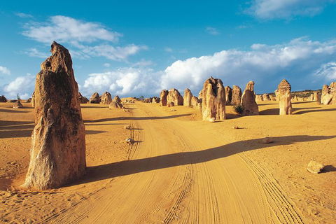 Pinnacles Desert, Koalas And Sandboarding 4WD Day Tour From Perth - New Castle Holiday 0
