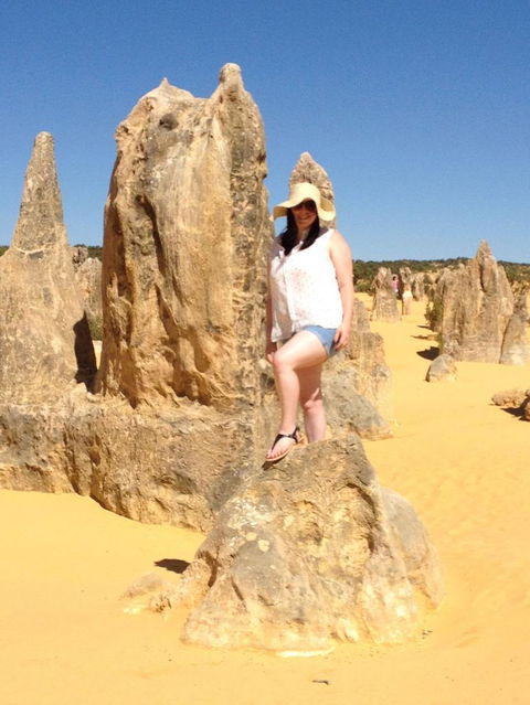 Pinnacles Desert, Koalas And Sandboarding 4WD Day Tour From Perth - New Castle Holiday 16