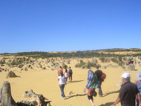 Pinnacles Desert, Koalas And Sandboarding 4WD Day Tour From Perth - New Castle Holiday 25