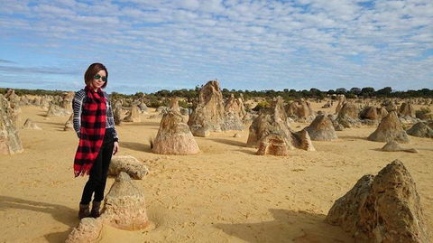 Pinnacles Desert, Koalas And Sandboarding 4WD Day Tour From Perth - New Castle Holiday 13