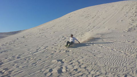 Pinnacles Desert, Koalas And Sandboarding 4WD Day Tour From Perth - New Castle Holiday 14