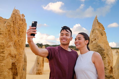 Pinnacles Desert, Koalas And Sandboarding 4WD Day Tour From Perth - New Castle Holiday 27