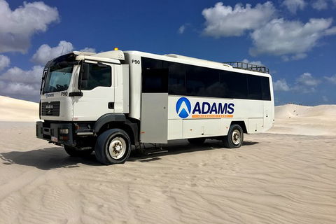 Pinnacles Desert, Koalas And Sandboarding 4WD Day Tour From Perth - New Castle Holiday 28