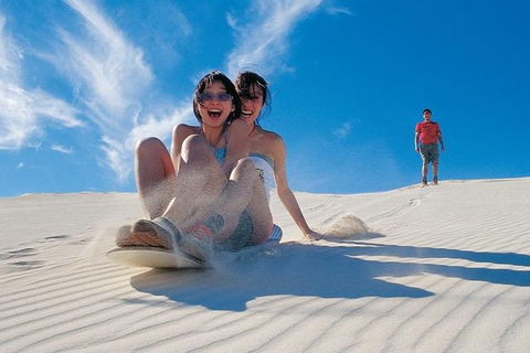 Pinnacles Desert, Koalas And Sandboarding 4WD Day Tour From Perth - New Castle Holiday 30