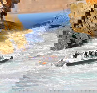 Horizontal Falls Half-Day Tour from Broome - New Castle Holiday