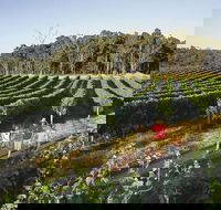 Margaret River Caves Wine and Cape Leeuwin Lighthouse Tour from Perth - New Castle Holiday