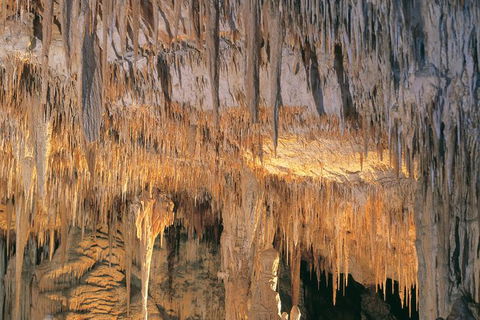 Margaret River, Caves, Wine And Cape Leeuwin Lighthouse Tour From Perth - New Castle Holiday 27