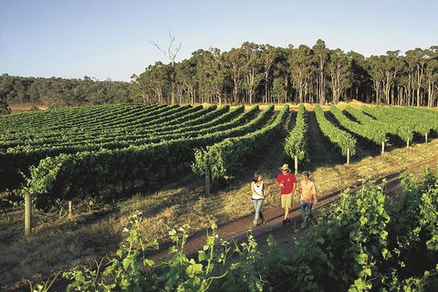 Margaret River, Caves, Wine And Cape Leeuwin Lighthouse Tour From Perth - New Castle Holiday 26