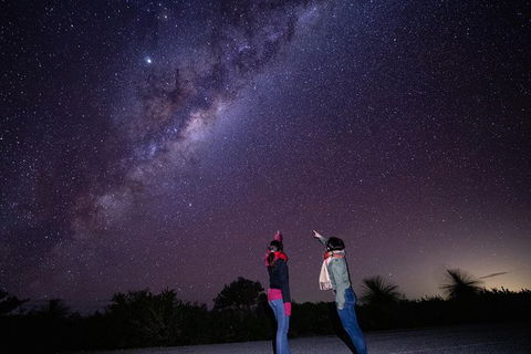 Pinnacles Desert Sunset Stargazing Tour - New Castle Holiday 5