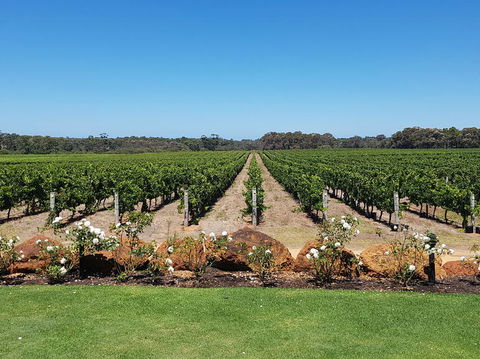 Margaret River Food, Wine & Sightseeing Tour From Perth - New Castle Holiday 5