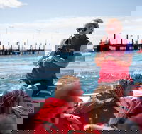 Rottnest Island Tour from Perth or Fremantle including Adventure Speed Boat Ride - New Castle Holiday