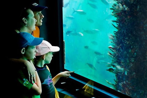 2-hour Busselton Jetty Package: Jetty Train And Underwater Observatory - New Castle Holiday 1