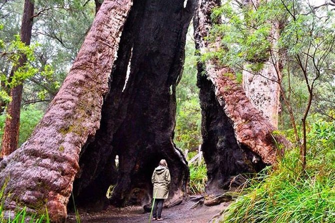 Day Trip City Beach WA New Castle Holiday