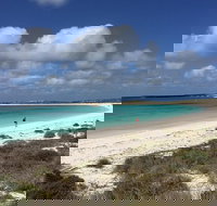 Abrolhos Island Half Day Fly and Flipper - New Castle Holiday