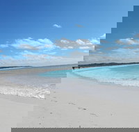 Shipwreck Special Nature Tour/Half Day Tour - New Castle Holiday