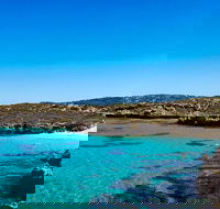 Rottnest Island Roundtrip Fast Ferry from Hillarys Boat Harbour - New Castle Holiday