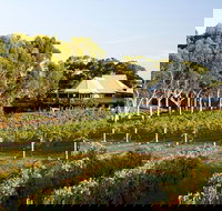 Margaret River and Geographe Bay Region Day Trip from Perth - New Castle Holiday