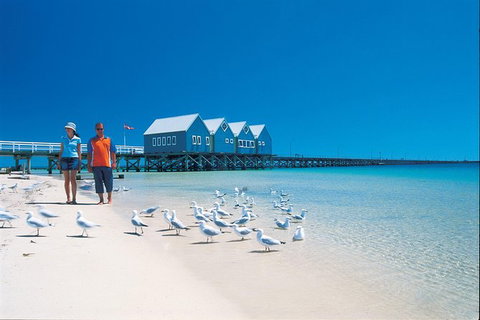 Margaret River And Geographe Bay Region Day Trip From Perth - New Castle Holiday 3