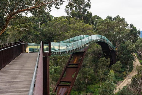 Half Day Perth & Fremantle Sight Seeing - New Castle Holiday 5