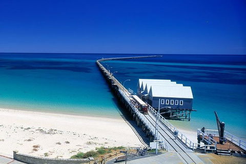 Full-Day Busselton Jetty, Train Ride & Dophin Discovery - New Castle Holiday 0