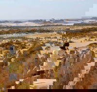 Full-Day Pinnacles Sandboarding and Yanchep National Park from Perth - New Castle Holiday
