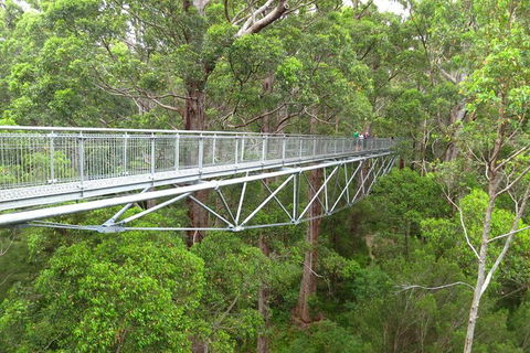 Albany Southwest Wilderness Day Tour - Fly From Perth - New Castle Holiday 0