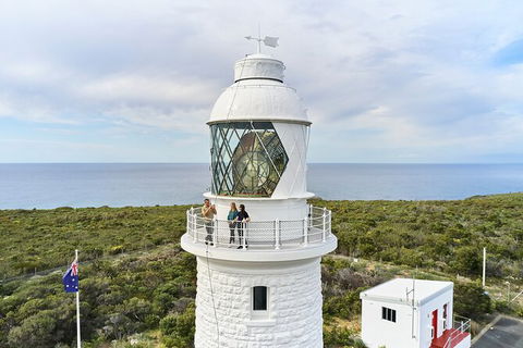 Cape Naturaliste Lighthouse Fully-guided Tour - New Castle Holiday 5